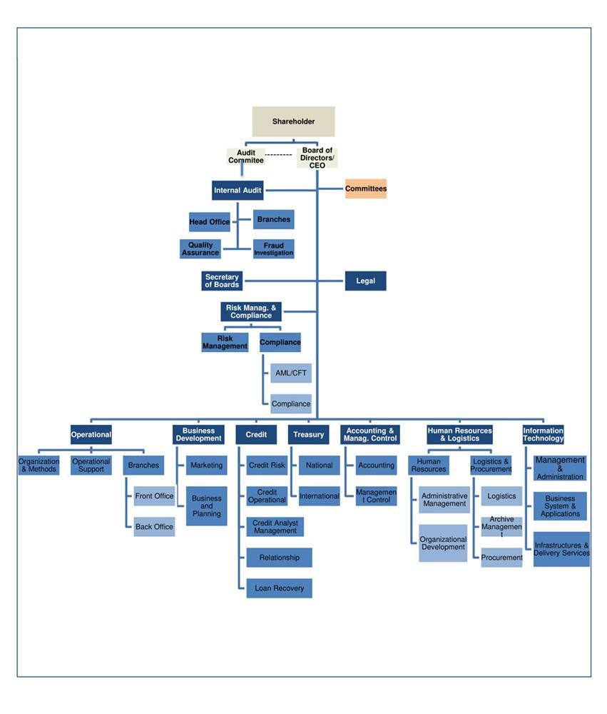 bnclt organization structure